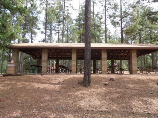 Villa Pine Cone Cabin Pinetop-Lakeside Exterior foto